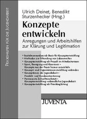 Deinet / Sturzenhecker |  Konzepte entwickeln | Buch |  Sack Fachmedien