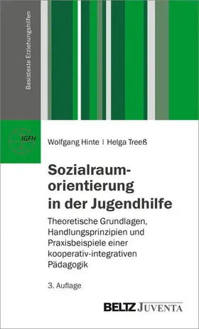 Hinte / Treeß |  Sozialraumorientierung in der Jugendhilfe | eBook | Sack Fachmedien