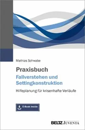 Schwabe | Praxisbuch Fallverstehen und Settingkonstruktion | E-Book | sack.de