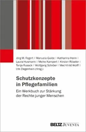 Fegert / Ziegenhain / Gulde |  Schutzkonzepte in Pflegefamilien | eBook | Sack Fachmedien