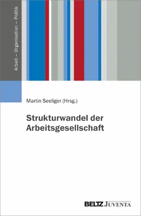 Seeliger |  Strukturwandel der Arbeitsgesellschaft | Buch |  Sack Fachmedien