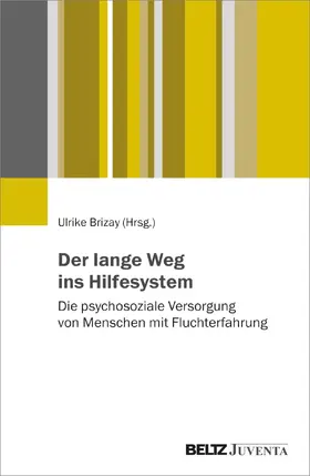 Brizay |  Der lange Weg ins Hilfesystem | Buch |  Sack Fachmedien