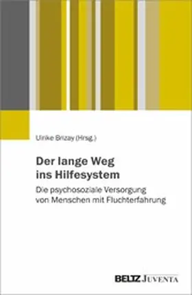 Brizay |  Der lange Weg ins Hilfesystem | eBook | Sack Fachmedien