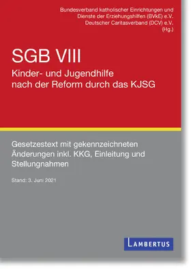 Bundesverband Caritas | SGB VIII - Kinder- und Jugendhilfe nach der Reform durch das KJSG | E-Book | sack.de