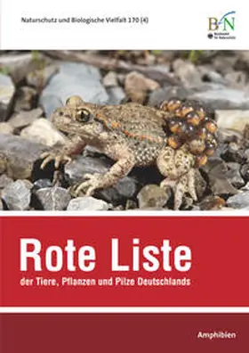 Rohde-Fingerle |  NaBiV Heft 170/4 Rote Liste der Tiere, Pflanzen und Pilze Deutschlands - Amphibien | Buch |  Sack Fachmedien