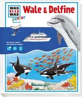 Fischer / Kiefmann | WAS IST WAS Junior Band 26. Wale und Delfine | Buch | 978-3-7886-1961-9 | sack.de
