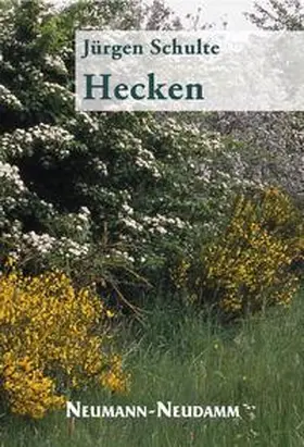 Schulte |  Hecken | Buch |  Sack Fachmedien