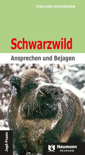 Fischer / Hans-Georg |  Schwarzwild | Buch |  Sack Fachmedien