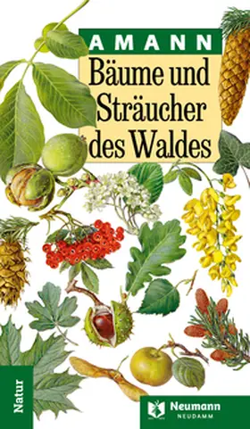 Amann / Summerer |  Bäume und Sträucher des Waldes | Buch |  Sack Fachmedien