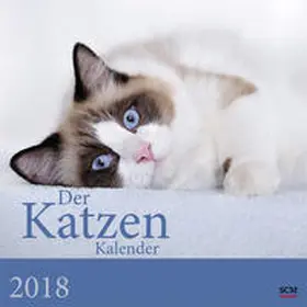Der Katzenkalender 2018 | Sonstiges | 978-3-7893-4781-8 | www2.sack.de
