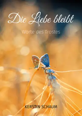 Schaum |  Die Liebe bleibt | Buch |  Sack Fachmedien
