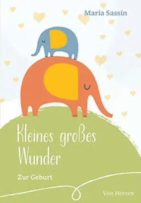 Sassin |  Kleines großes Wunder | Buch |  Sack Fachmedien