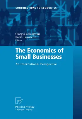 Favaretto / Calcagnini |  The Economics of Small Businesses | Buch |  Sack Fachmedien