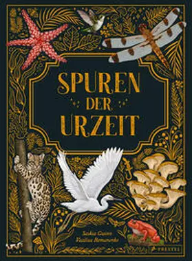Gwinn / Romanenko |  Spuren der Urzeit | Buch |  Sack Fachmedien