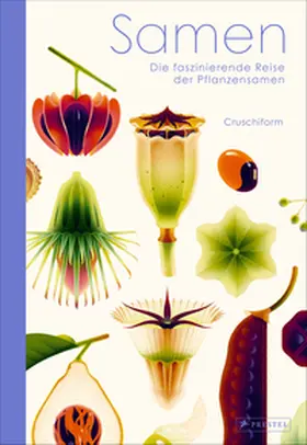 Cruschiform |  Samen | Buch |  Sack Fachmedien