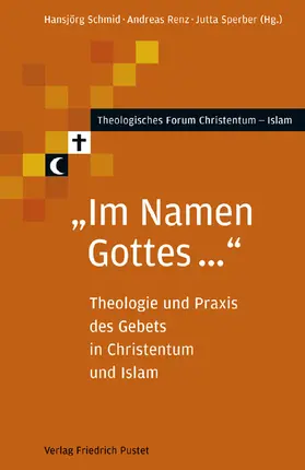 Schmid / Renz / Sperber | Im Namen Gottes... | Buch | 978-3-7917-1994-8 | www2.sack.de