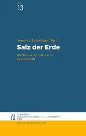 Lederhilger |  Salz der Erde | Buch |  Sack Fachmedien