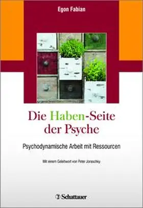 Fabian |  Die „Haben“-Seite der Psyche | Buch |  Sack Fachmedien