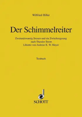  Der Schimmelreiter | Buch |  Sack Fachmedien