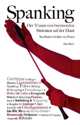 Stein |  Spanking | eBook | Sack Fachmedien