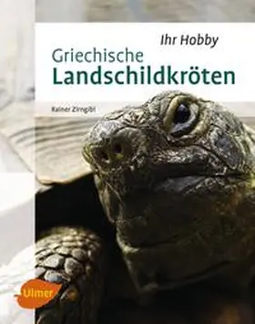 Zirngibl |  Griechische Landschildkröten | Buch |  Sack Fachmedien