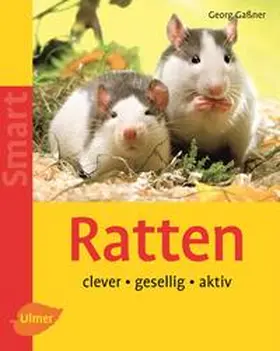Gaßner |  Ratten | Buch |  Sack Fachmedien