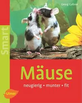 Gaßner |  Mäuse | Buch |  Sack Fachmedien