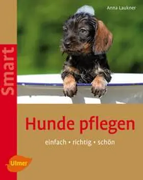 Laukner |  Hunde pflegen | Buch |  Sack Fachmedien