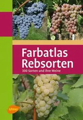 Ambrosi / Hill / Maul |  Farbatlas Rebsorten | Buch |  Sack Fachmedien