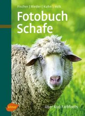 Fischer / Kuhn / Rieder | Fotobuch Schafe | Buch | 978-3-8001-6417-2 | www2.sack.de