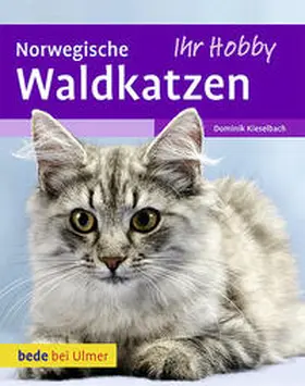 Kieselbach / Walz |  Norwegische Waldkatzen | Buch |  Sack Fachmedien