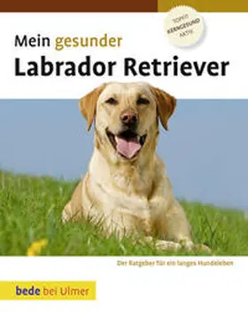 Ackerman |  Mein gesunder Labrador Retriever | Buch |  Sack Fachmedien