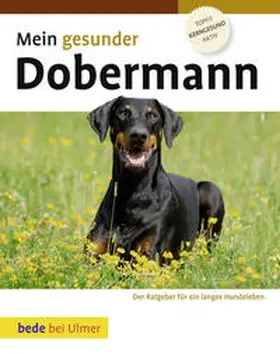 Ackerman |  Mein gesunder Dobermann | Buch |  Sack Fachmedien