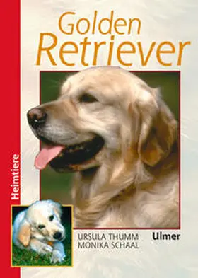 Thumm / Schaal |  Golden Retriever | Buch |  Sack Fachmedien