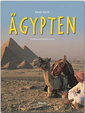 Schwikart |  Reise durch Ägypten | Buch |  Sack Fachmedien