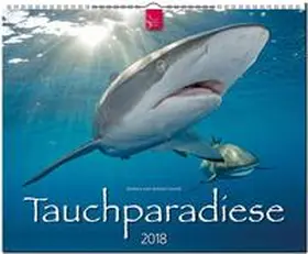 TAUCHPARADIESE | Sonstiges | 978-3-8003-5723-9 | sack.de
