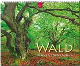  WALD - Im Reich der grünen Giganten | Sonstiges |  Sack Fachmedien