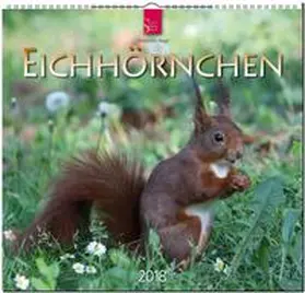 EICHHÖRNCHEN | Sonstiges | 978-3-8003-5757-4 | sack.de