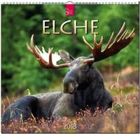ELCHE | Sonstiges | 978-3-8003-5759-8 | sack.de