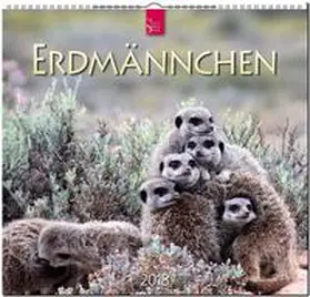ERDMÄNNCHEN | Sonstiges | 978-3-8003-5761-1 | sack.de
