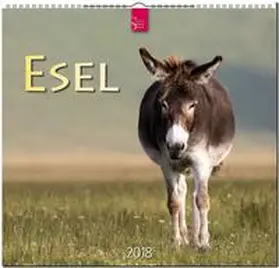 ESEL | Sonstiges | 978-3-8003-5762-8 | www2.sack.de