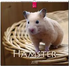 HAMSTER | Sonstiges | 978-3-8003-5766-6 | sack.de