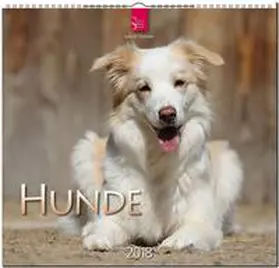 HUNDE | Sonstiges | 978-3-8003-5767-3 | www2.sack.de