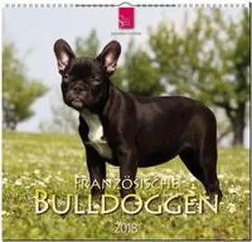 FRANZÖSISCHE BULLDOGGEN | Sonstiges | 978-3-8003-5769-7 | sack.de