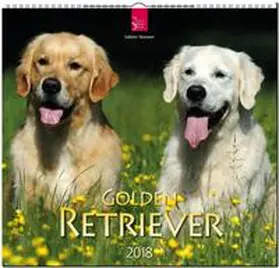 GOLDEN RETRIEVER | Sonstiges | 978-3-8003-5770-3 | www2.sack.de