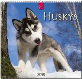 HUSKYS | Sonstiges | 978-3-8003-5771-0 | sack.de