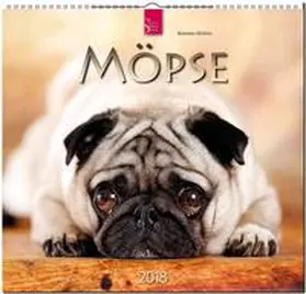 MÖPSE | Sonstiges | 978-3-8003-5772-7 | sack.de