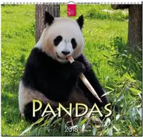PANDAS | Sonstiges | 978-3-8003-5781-9 | sack.de