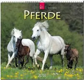 PFERDE | Sonstiges | 978-3-8003-5782-6 | sack.de