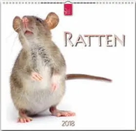 RATTEN | Sonstiges | 978-3-8003-5788-8 | www2.sack.de